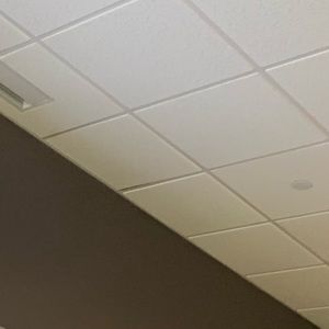 Meet your Posher, Ben